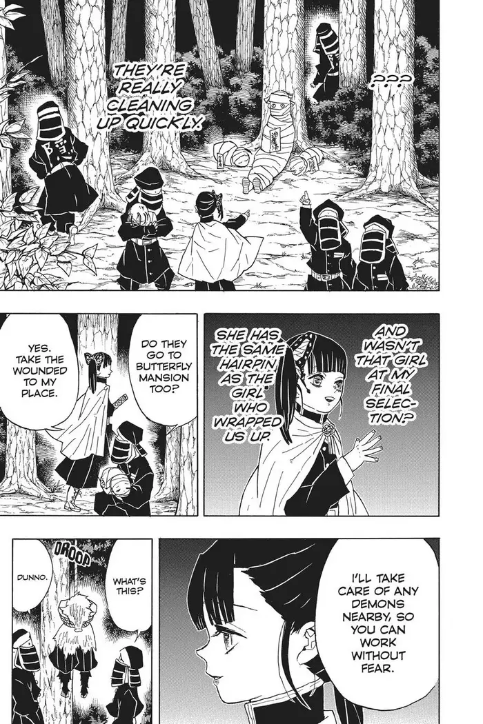 Demon Slayer Chapter 44 image 09_optimized